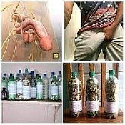 voyance, voyant, médium, voyant médium, médium voyant, voyance en ligne, consultation voyance, voyance amour, medium en ligne, voyance gratuite +229 01 98 78 79 76, consultation de voyance en ligne, médium fiable en ligne, voyance amour par téléphone, voyance en ligne fiable, tirage tarot gratuit en ligne, voyant sérieux et fiable, médium retour de l’être aimé, voyance et guidance spirituelle, consultation voyance immédiate, médium par chat ou téléphone, voyant medium, medium voyant, marabout medium voyant, medium voyant agboze nicolas, grand maitre marabout medium, maitre marabout voyant, grand maitre marabout voyant, marabout medium voyant africain, maitre marabout medium voyant, grand maitre marabout medium voyant, retour, retour affectif puissant marabout +229 01 98 78 79 76, retour affection marabout rapide, rituel marabout magique 24h, retour affectif sérieux marabout 24h, retour affectif efficace marabout +229 01 98 78 79 76,